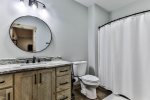 Lower Level Bathroom